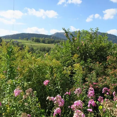 In St Maurice Near Ballon D'alsace شاليه سانت موريس سور موسيل