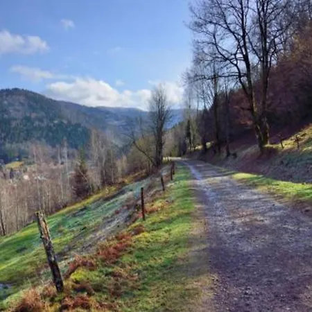 In St Maurice Near Ballon D'alsace