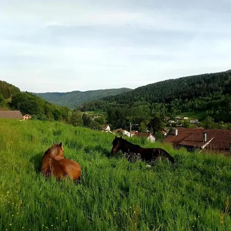 In St Maurice Near Ballon D'alsace Chalet