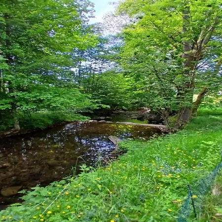 샬레 In St Maurice Near Ballon D'alsace