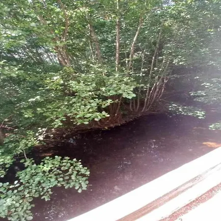 In St Maurice Near Ballon D'alsace Chalet *