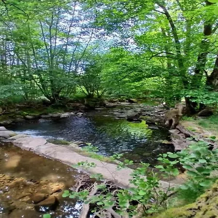 샬레 In St Maurice Near Ballon D'alsace