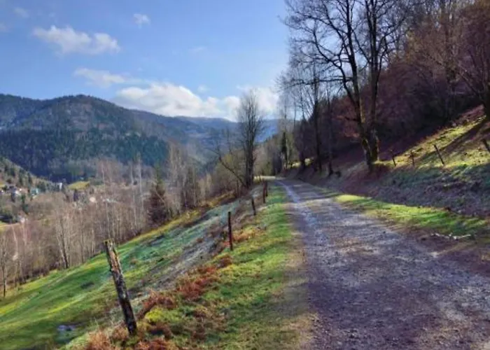 In St Maurice Near Ballon D'alsace