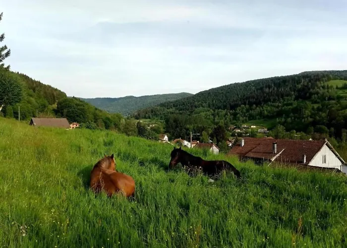 In St Maurice Near Ballon D'alsace Chalet